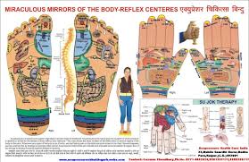 sujok therapy points chart google search acupressure