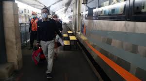 Batu andesit bertekstrur seperti kayu jadi bisa kamu jadikan eksterior ruangan, karya seni, ataupun pagar depan rumah. Mulai Besok Kuota Wisatawan Bromo Ditambah Menjadi 40 Persen