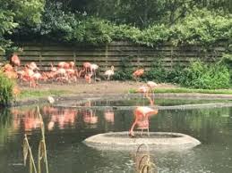 Llanelli Wetland Centre By Bike Or Walk Swansea Bay Without A Car