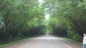 Top rated cheap hotels in santa rita include alojamiento familiar daniel, nativa iguazu and in a few clicks you can easily search, compare and book your santa rita accommodation by clicking directly. Camino A Santa Rita Southern Cone Paraguay South America