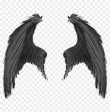 You can use this images on your website with proper attribution. Sayap Keren Png Image With Transparent Background Png Free Png Images Png Images Transparent Background Dove Pictures