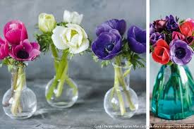 Jolis Vases Pour Fleurs Coupees Vase Fleur Fleurs Fleurs Coupees