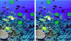 Spot the difference puzzles online. Free Online Games No Downloads Play Puzzles Games Free No Registration
