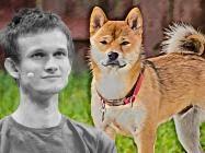 Shiba inu has little experience in crypto but has seen a considerable rise. E8t3gppecgd29m