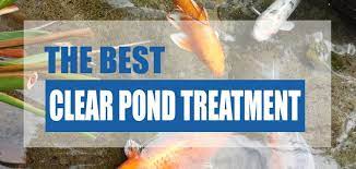 Reserve one jar of pond water as a control for comparison. The Best Clear Pond Water Treatments Top Methods Pond Informer