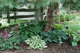 Check spelling or type a new query. Pin On Outdoor Spaces