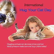 International hug your cat day. Hug Your Cat Day Vorlage Postermywall