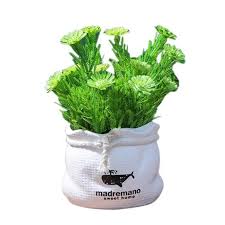 Plantation en bacs, pots jardinières. 2pcs Pot De Fleur De Marguerite Artificielle En Pot Bonsai Fausse Plante Dans Un Recipient De Vase Cdiscount Maison