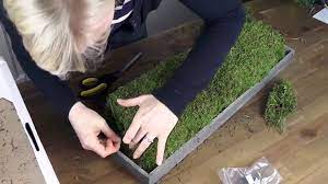 Apfelringe können ganz einfach selber gemacht werden: Weihnachtsdeko Basteln Adventskranz Im Naturlook How To Deko Kitchen Video Dailymotion