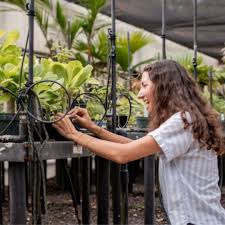 🌴In Kalaheo, Kuai,...