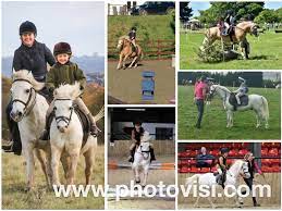 Mounted Games Ponies And Equipment For Sale