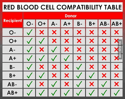 Difference Between Abo Blood Group And Rh Blood Group