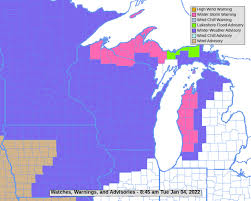 Wsw) is a hazardous weather statement issued by weather forecast offices (wfo) of the national weather service (nws) in . Winter Storm Warning For Parts Of Michigan Ahead Of Wednesday S Near Blizzard Conditions Mlive Com