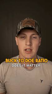 What is the ideal buck to do ratio for producing larger bucks?, A 1:1 buck  to doe ratio is often considered ideal for maintaining larger bucks. This  ratio can lead to better antler development due to ...