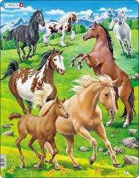 Check spelling or type a new query. Field Of Horses 65 Piece Jigsaw Dementia Activity Dementia Jigsaw Puzzles