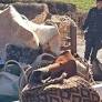 Desalojo en Salta: policías echan a comunidad indígena de tierras ancestrales