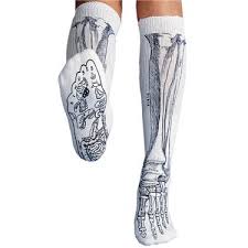 anatomical chart company bone socks allheart com nurse