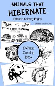 A few boxes of crayons and a variety of coloring and activity pages can help keep kids from getting restless while thanksgiving dinner is cooking. Animals That Hibernate In Winter Printable Coloring Book The Natural Homeschool