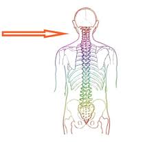 Neben der medikamentösen therapie ist auch eine manuelle therapie sinnvoll. Cbd Gegen Das Hws Syndrom Probleme Mit Halswirbelsaule