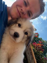 Livestock Guardian Dogs at Full Quiver Farm