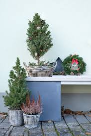 Auch der privatkredit von privatpersonen vertrag sollte. Diynachten Weihnachtsliche Gartendeko Fur Wildvogel