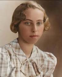 The British spy who parachuted into France with a violin case full of  explosives