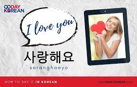You need to choose which version you'll use depending on who you're saying i lov. How To Say I Love You In Korean Don T Mess This Up