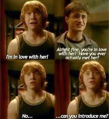 Harry Potter Harry Potter Universal Harry Potter Jokes Harry Potter Love