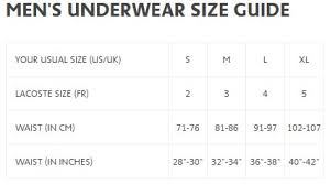 Details About 3 Pack Lacoste Ramm102 Microfiber Trunks Boxers Underwear Size L 36 38