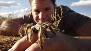 Deadly 60 (TV Series 2009– )