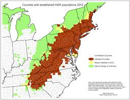 Things to do in new england, united states: Tree Killing Pests Who Where How American Forests