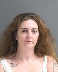 Daytona Beach Mugshots Searchsupport And Help Detail Kyle B Laing Arrested  Fl Arrest Reports-