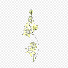 夏 イラスト 植物 チューベローズ イラストの植物チューベローズフリーイラスト画像とPSDフリー素材透過の無料ダウンロード - Pngtree