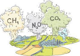 Парниковые газы: определение, виды, опасное влияние на экологию