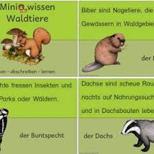 Text Und Bildkarten Zum Igeljahr Zaubereinmaleins Shop Waldtiere Mini Bildkarten