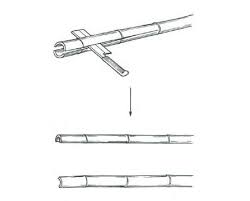 Maybe you would like to learn more about one of these? How To Split Bamboo Guadua Bamboo