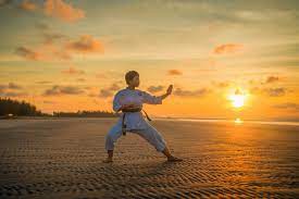 100 Karate Pictures Download Free Images On Unsplash