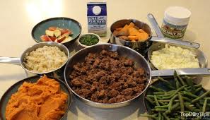 Homemade Dog Food For Kidney Disease Recipe Video Quick Simple In 2020 Healthy Dog Food Recipes Diet Dog Food Dog Food Recipes