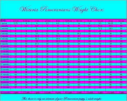 weight chart wisteria pomeranians