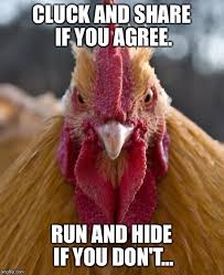 20 Chicken Memes That Are Surprisingly Funny Sayingimages Com Here's our list of the top 21 we have found from facebook, twitter, vine, instagram and internet in general! 20 chicken memes that are surprisingly