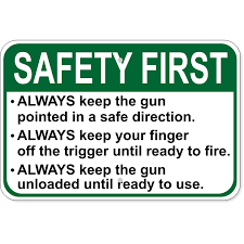 Image result for Gun Safety