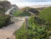 Image result for garrapata