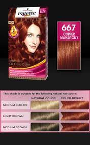 Palette Deluxe 667 Copper Mahagony Aubergine Hair Color Dipped Hair Hair Color Pink