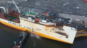 Image result for Avorio 1985 Fleet