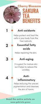 4 Surprising Cherry Blossom Tea Benefits Gabriela Green Tea Benefits Cherry Tea Tea Tasting