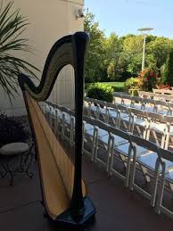 Harpist In Chicago S West Suburbs Www Theclassicharpist Com Outdoor Ceremony Harpist Wedding Music