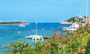 Dan and his team of demographers, scientist and anthropolog … Sardinien Italien Luxury Homes And Sardinien Italien Lifestyle