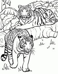 Download And Print This Tiger Coloring Pages For Older Kids 51824 For The Cost Of No Detailed Coloring Pages Coloring Pictures Of Animals Animal Coloring Pages