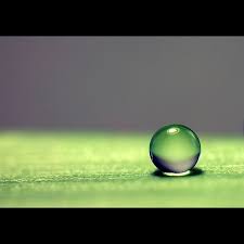 Depth Of Field 9 Shallow Depth Of Field Depth Of Field Photography Depth Of Field