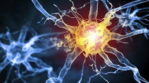 Ms causes gradual destruction of myelin (demyelination) and breakdown of neuronal axons throughout the brain and spinal cord. Multiple Sclerosis A Patient S Perspective